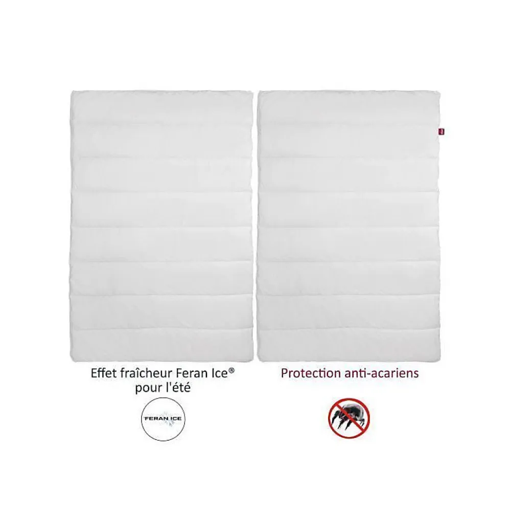 Couette 4 Saisons ANTI-ACARIENS 140x200cm>Abeil Discount