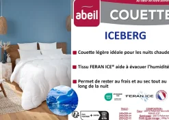 Abeil Couette légere ICEBERG 200x200cm* Couette