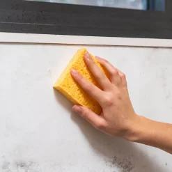 Starwax Anti-moisissures murs et pièces à vivre 500ml* Nettoyant Pour Cuisine