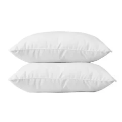 Blanreve Lot de 2 Oreillers en coton - 60 x 60 cm - Blanc* Oreiller Moelleux