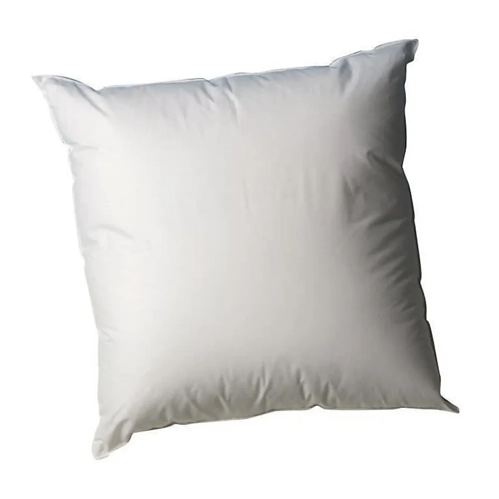 Blanreve Oreiller en coton - 60 x 60 cm - Blanc* Oreiller Moelleux
