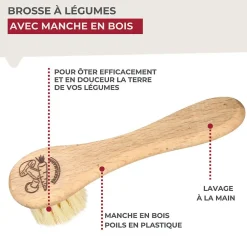 Brosse à légumes en bois Wood Edition><noscript><img width=