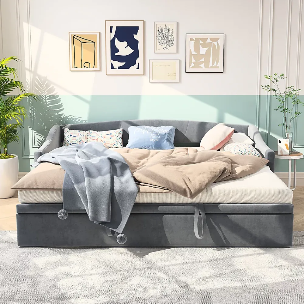 Fortuna lai Canapé-lit, extensible, 140x 200 cm, avec sommier à lattes, tissu en velours, canapé-lit, sans matelas, gris foncé* Lit Coffre