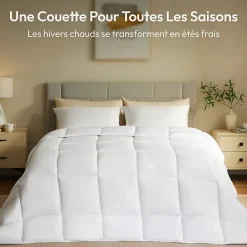 Casabel Couette 240x260 cm Hiver Légère, 450 GSM Microfibre Douce et Respirante, Thermorégulatrice, Lavable, Pour Lit 2 Personnes* Couette