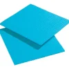 Chiffons de Nettoyage Spongyl Bleus - boite de 10* Eponge