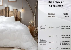 Abeil Couette anti-acariens chaude 200 x 200 cm polyester blanc* Couette