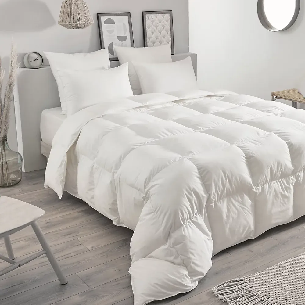 Toison d'Or Couette chaude en plumettes et duvet (240x260 cm - Blanc)* Couette