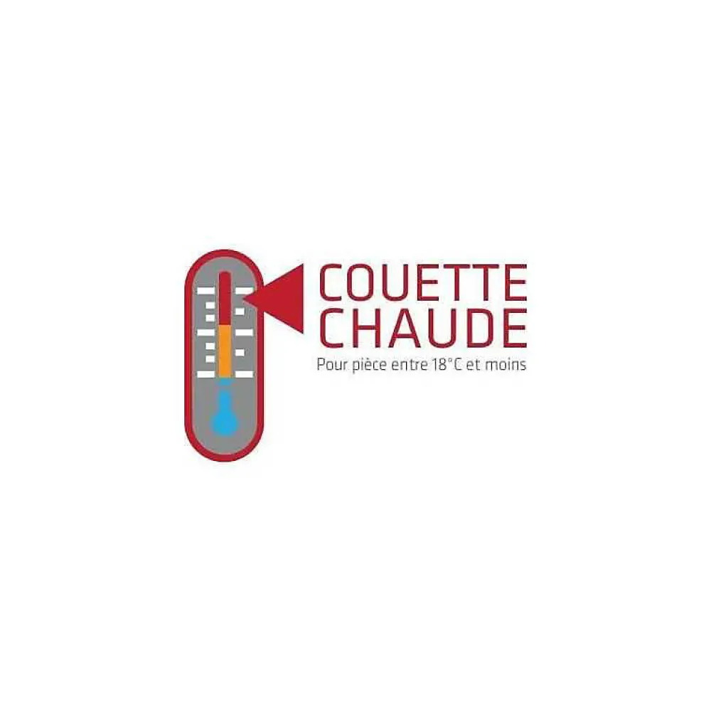 Couette Douceur Auvergnate - 220 x 240 cm - Chaude - 2 personnes ->Abeil Discount