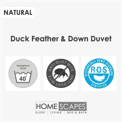 Couette légère été 240x220 cm - Couette 2 personnes - Plumes et duvet de canard -><noscript><img width=