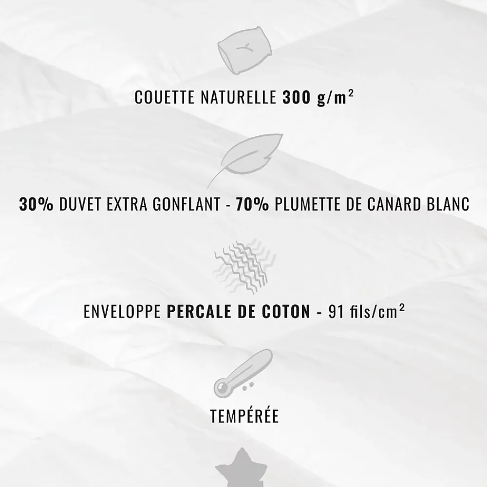 Sensei Maison Couette naturelle - Tempérée - 30% duvet 300 g/m² 200x200 cm NEVADA* Couette