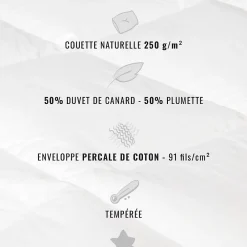 Sensei Maison Couette naturelle - Tempérée - 50% duvet 250 g/m² 140x200 cm AVORIAZ* Couette