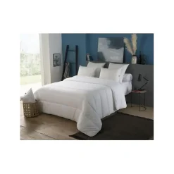 Couette tempérée Vancouver Ultra - 220 x 240 cm - 300gr/m² - Blanc -><noscript><img width=