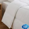 Sweetnight Couette 220x240 cm - Pour Lit 2 Personnes - Enveloppe en Coton - Légère - Sans Traitement* Couette