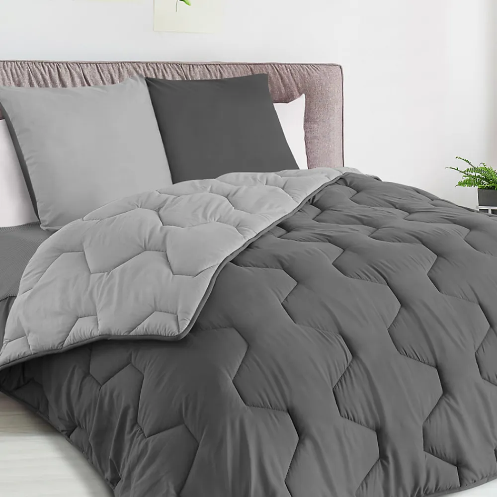 Couette 220x240 CM ABBY bicolore gris clair et gris 300 gr + 2 oreillers>IDMarket Best
