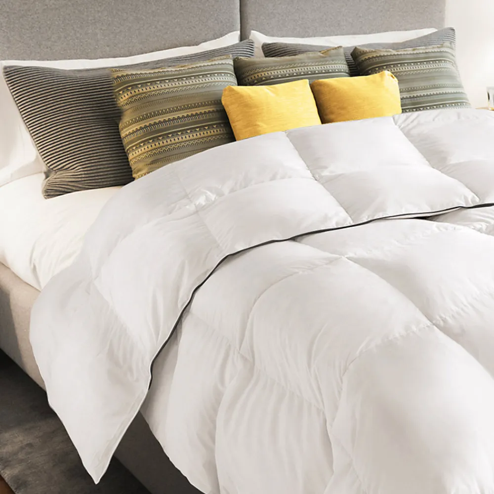 Couette 220x240 CM AELA blanche en plume d'oie anti acarien 500 gr>IDMarket Sale