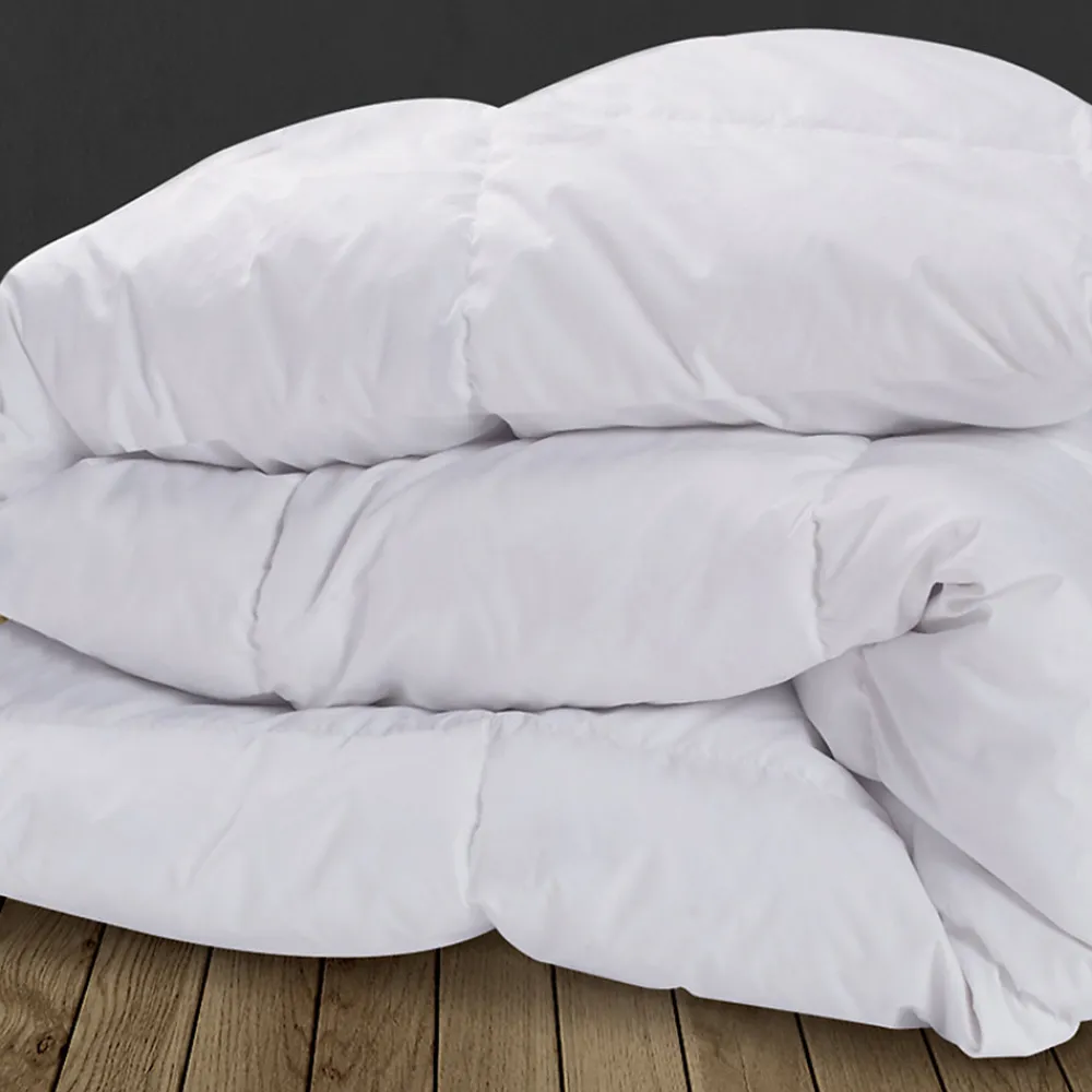 Couette 220x240 CM AELA blanche en plume d'oie anti acarien 500 gr>IDMarket Sale