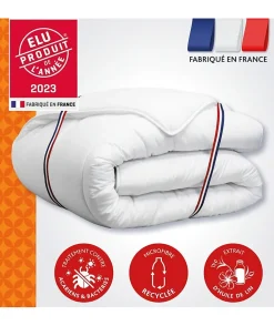 Couette 200x200 cm CHAMPS DE LIN - Chaude - 450G/m² - Couette 1-2 personne-Douce et Chaude -Anti-acariens Antibactériens>Dodo Discount