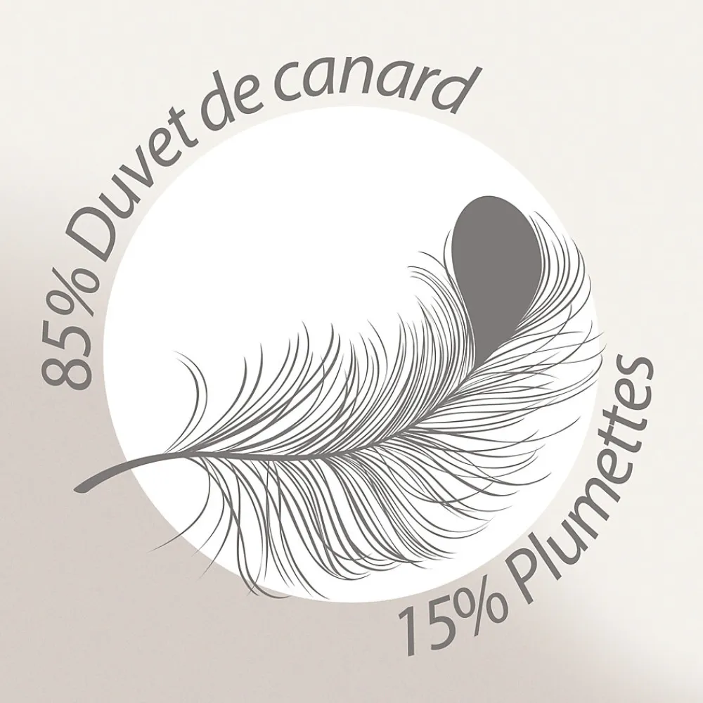Couette 200x200 cm hiver FINLANDE garnissage naturel duvet de canard 300g/m2>Linnea Online