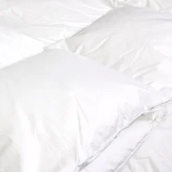 Couette 300x300 cm hiver VELAY LUXE garnissage naturel duvet d'oie 300g/m2><noscript><img width=