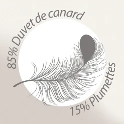 Couette 140x200 cm été FINLANDE garnissage naturel duvet de canard 180g/m2><noscript><img width=