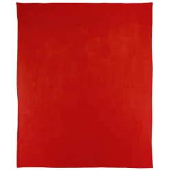 Couverture polaire 180x220 cm 100% Polyester 350g/m2 TEDDY Rouge terracotta><noscript><img width=
