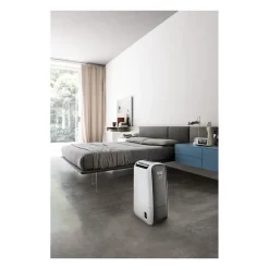 Delonghi Deshumidificateur dair DNS 65* Déshumidificateur D'Air