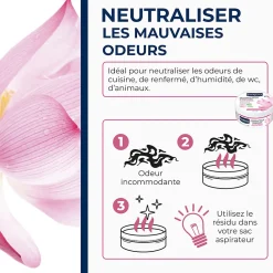 Starwax Destructeur d'odeurs fleurs de lotus 300g* Désodorisant Et Parfum D'Ambiance