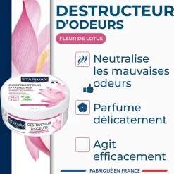 Starwax Destructeur d'odeurs fleurs de lotus 300g* Désodorisant Et Parfum D'Ambiance