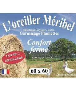 Lot de 2 Oreillers MERIBEL Plumettes 60x60cm>Dodo Best