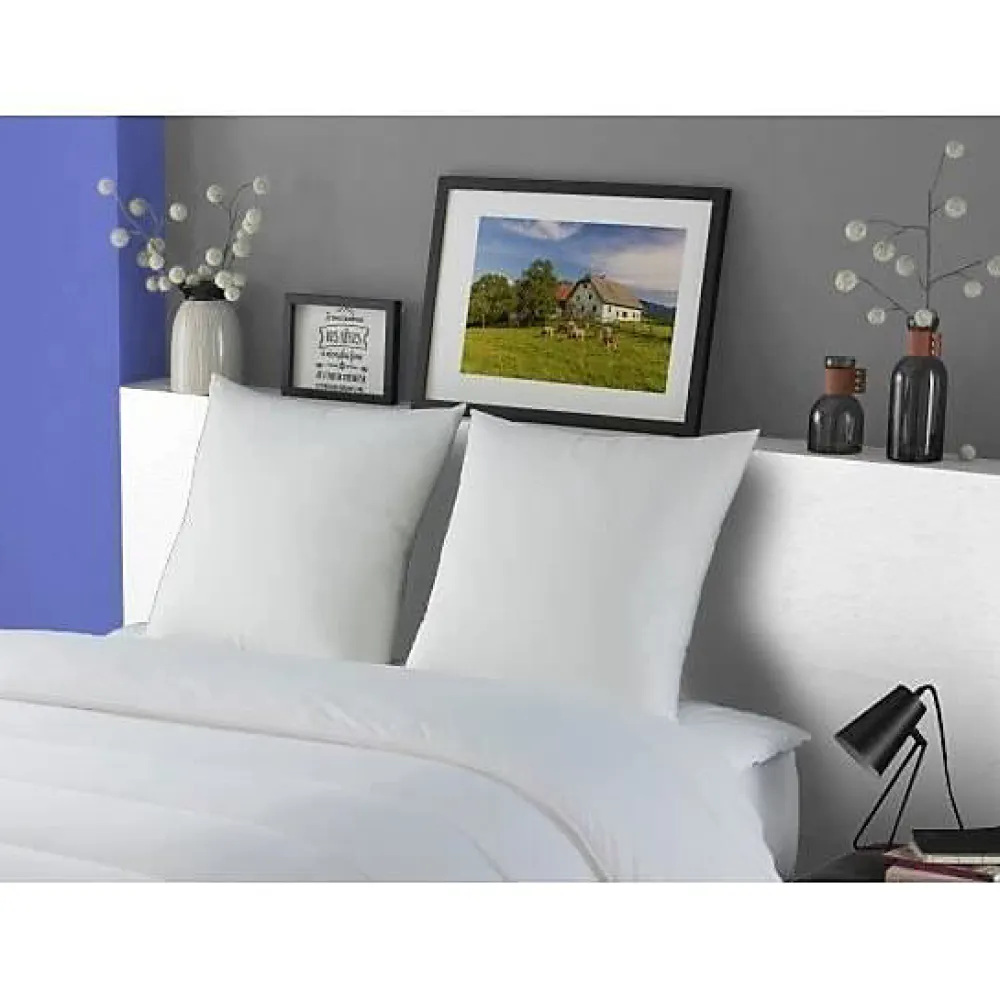 Lot de 2 Oreillers MERIBEL Plumettes 60x60cm>Dodo Best