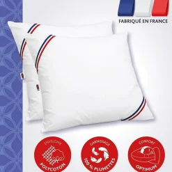 Lot de 2 Oreillers MERIBEL Plumettes 60x60cm><noscript><img width=