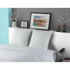 Oreiller LUXOR 60x60 cm - 100% Coton - Effet Duvet><noscript><img width=