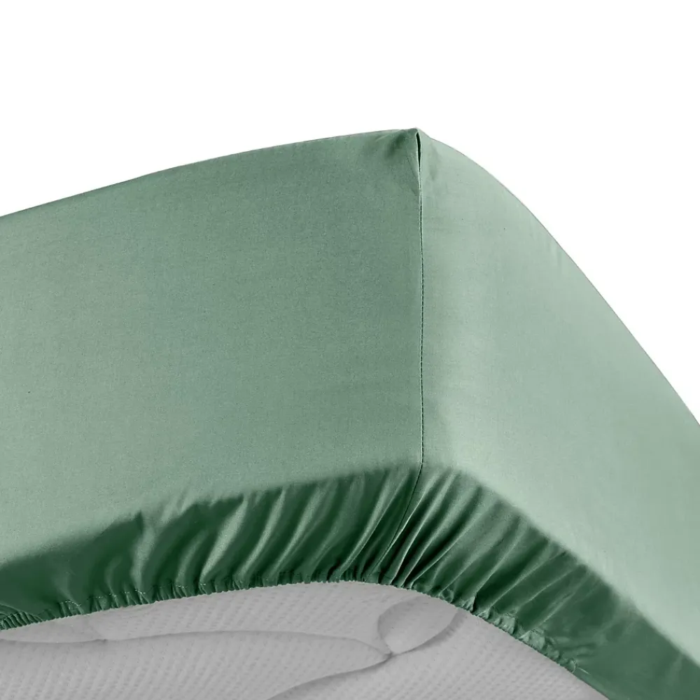 Douceur D'Intérieur DRAP HOUSSE 2 PERSONNES PERCALE UNI 78 FILS PERCALINE TILLEUL - 160x200cm - Vert tilleul* Drap Housse|Drap Housse