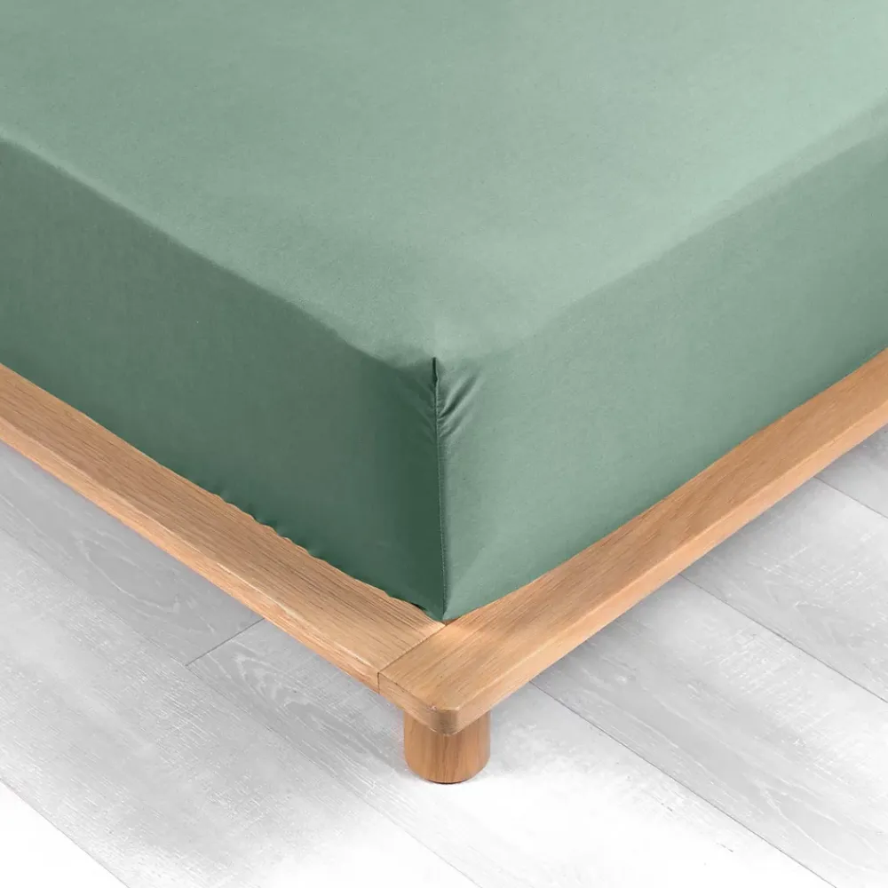 Douceur D'Intérieur DRAP HOUSSE 2 PERSONNES PERCALE UNI 78 FILS PERCALINE TILLEUL - 160x200cm - Vert tilleul* Drap Housse|Drap Housse