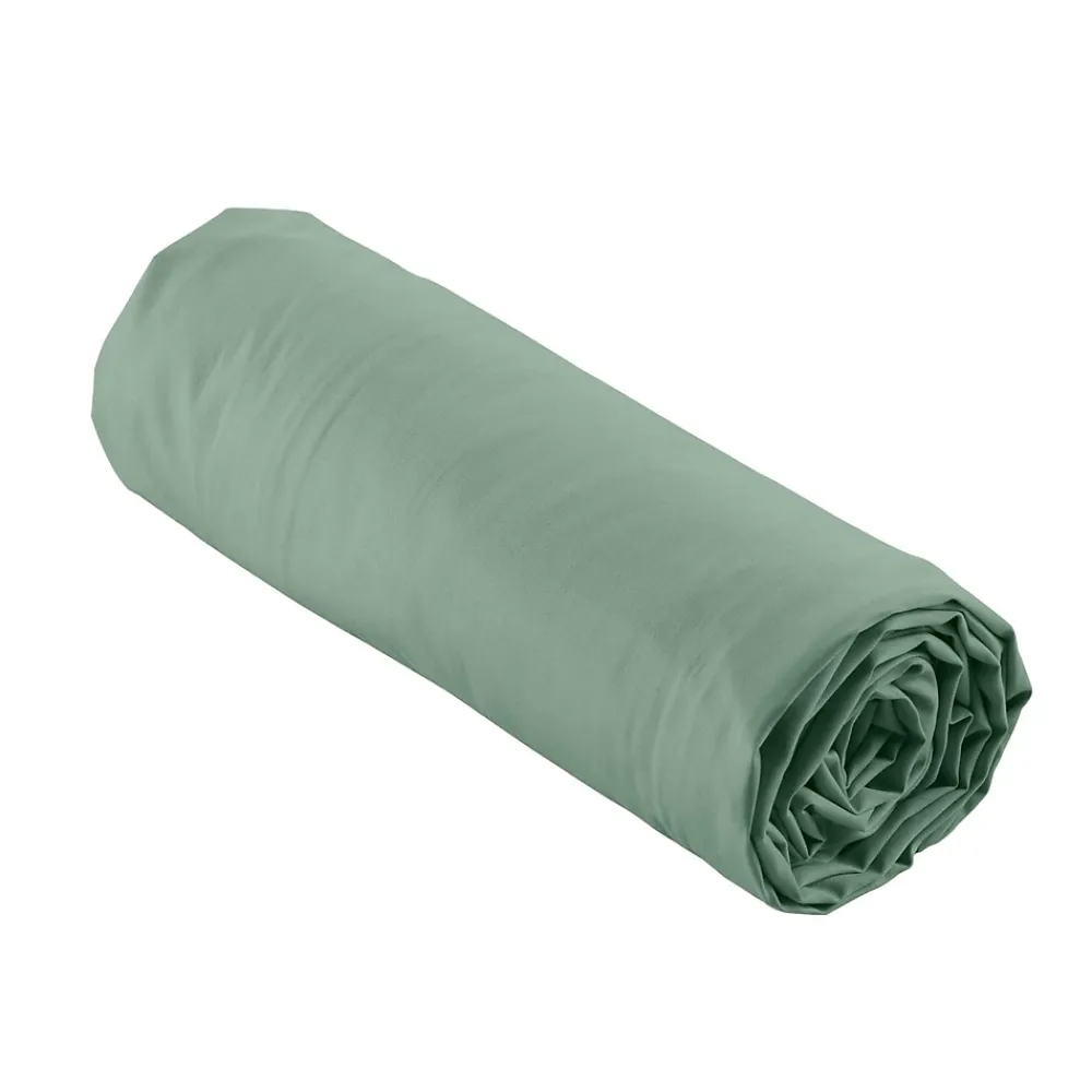 Douceur D'Intérieur DRAP HOUSSE 2 PERSONNES PERCALE UNI 78 FILS PERCALINE TILLEUL - 160x200cm - Vert tilleul* Drap Housse|Drap Housse