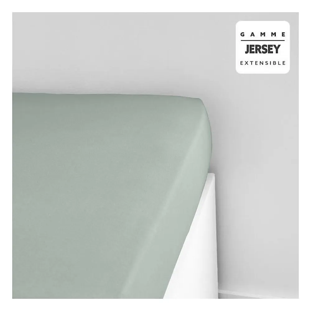 Todays Tools Drap housse TODAY Essential - 140 x 190+25 cm - 1 personne - 100% Coton jersey - Celadon* Drap Housse|Drap Housse
