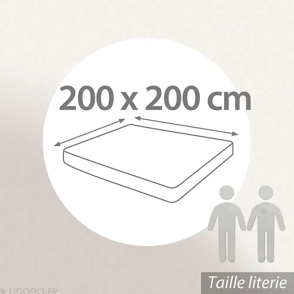 Drap housse 200x200 cm bonnet 30 cm percale de coton PASSION PERCALE beige Lin>Linnea Clearance