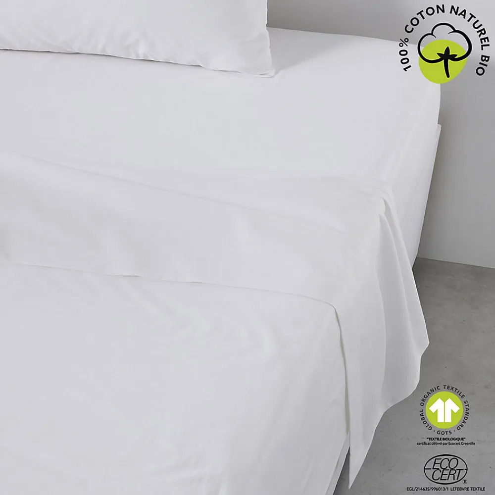 Drap plat 57 fils - 100% coton biologique>Today Sale