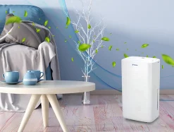 Déshumidificateur avec compresseur 12 l/d><noscript><img width=