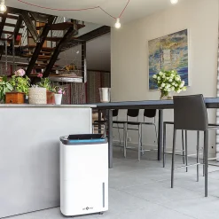 Déshumidificateur d'air à compresseur Rohan 50L/J 200m²><noscript><img width=