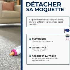 Détachant express tapis et moquette 250ml><noscript><img width=