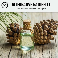 Essence de térébenthine pure gemme bois : TEREBENTHINE 101 - 5 L ->Arcane Industries New