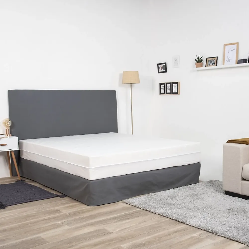 Future Home Housse intégrale anti punaise de lit bonnets 27 cm 90x200cm* Protège Matelas
