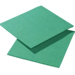 Lavettes Spongyl vertes Lot de 10* Eponge