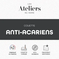 Les - Couette Chaude Anti-acariens 200x200cm><noscript><img width=