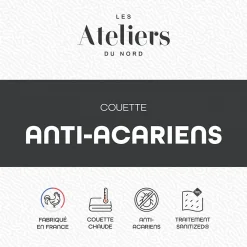 Les - Couette Chaude Anti-acariens 240x260cm><noscript><img width=
