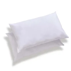 Ateliers Du Nord Les - Lot de 2 oreillers moelleux Anti-acariens 45x70cm* Oreiller Moelleux