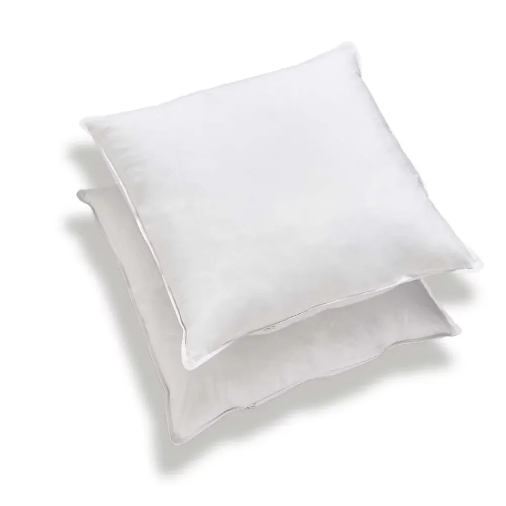 Ateliers Du Nord Les - Lot de 2 oreillers mémoire de forme 60x60cm* Oreiller Mémoire De Forme
