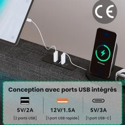 Okwish Lit avec rangement 140x200 cm double capitonné avec ports USB-C et LED, 4 tiroirs intégrés, tissu lin gris, sans matelas* Lit Avec Rangement