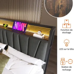 Okwish Lit coffre 140 x 200 cm - Lit adulte avec Tête de Lit LED + USB - Lin + Métal - Sans Matelas - Gris* Lit Coffre
